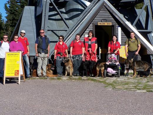 Dogtreking v Krkonoších – fotografie 1