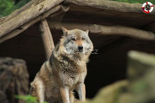 Vodní výcvik na Nechranicích – fotografie 4